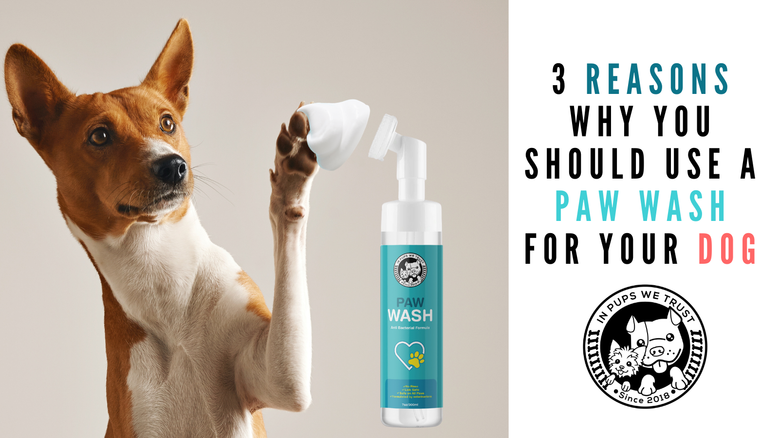 Antibacterial wash hot sale for dog paws