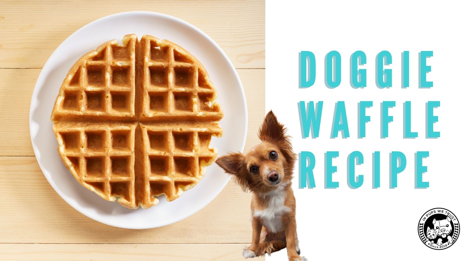 Grain free dog waffles hotsell