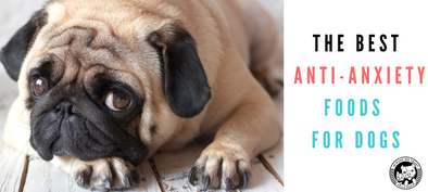 The Best Anti-Anxiety Foods for Dogs - In Pups We Trust