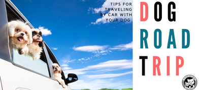 Traveling by Car with Your Dog - In Pups We Trust