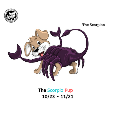 The Scorpio Pup: - In Pups We Trust