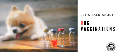 Let's talk about Dog Vaccinations - In Pups We Trust