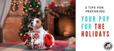 5 Tips for Preparing Your Pup for the Holidays - In Pups We Trust