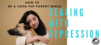 How to Be a Good Pet Parent While Dealing with Depression