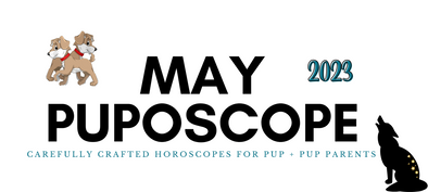 May Puposcope - for Pups & Pup Parents