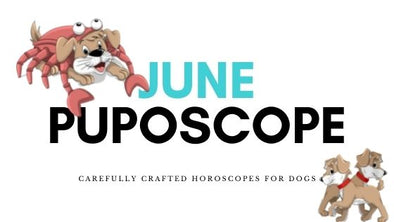 June 2021 Puposcope