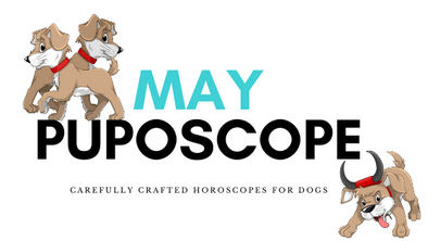 May 2021 Puposcope