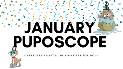 January 2021 - 2 Card Pull Puposcope