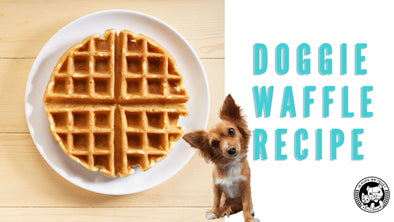 Dog Waffle Recipe