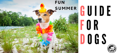 Fun Summer Guide for Dogs! - In Pups We Trust