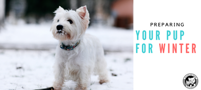 Preparing Your Pup For the Winter - In Pups We Trust