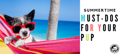 Summer Must Do's for Your Pup - In Pups We Trust